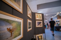 saillans-expo-4