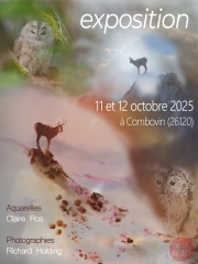 Dans le feu de l'automne