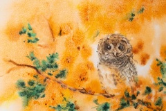 Charlotte et cætera