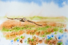 Guillaume et cætera